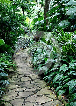 Garden Path #4