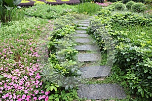 Garden path