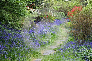 Garden path