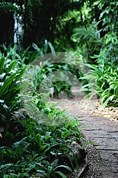 Garden path