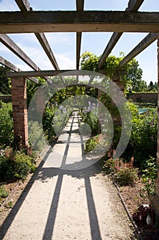 Garden Path