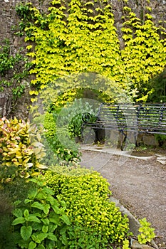 Garden path