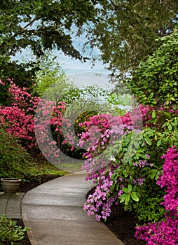 Garden path