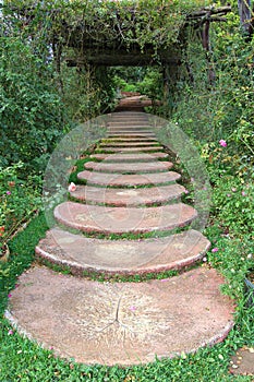 Giardino la strada 