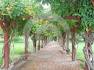 Garden path