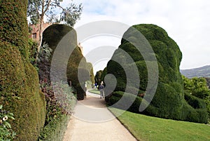 Garden Path, Chirk Castle, England