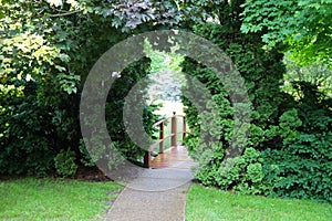 Garden path foot bridge lush garden greenery