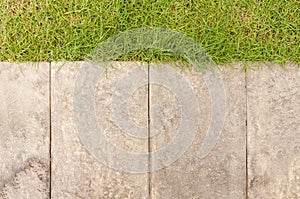 Garden path with grass growing up on top