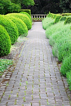 Garden path in Hatley castle