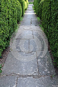 Garden Path and Hedgerow