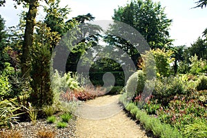 Garden path and herbaceous border