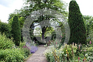 Garden path and herbaceous borders