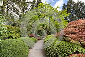 Garden Path at Japanese Garden