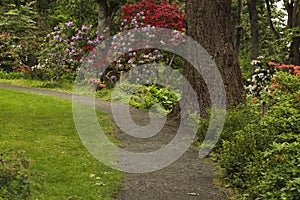 Garden path in a landscaped park