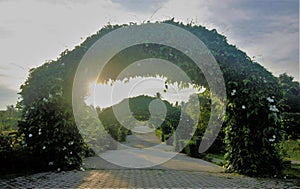 Garden path layered with archs made of plants and flowers