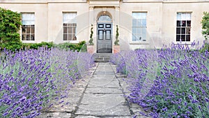 Garden Path Leading to an Attractive London Home