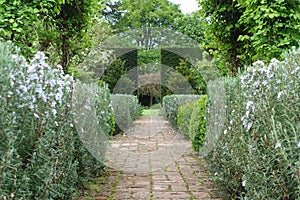 Garden Path Lined By Flowers and Plants