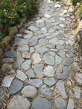 Garden Path lined with stones pebbles rocks and dried leaves pure nature marigold flowers yellow flower green plants sidewalk walk