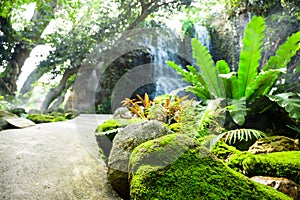 Garden path and moss on rocks with waterfall background