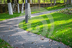 Garden path in park