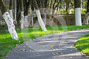 Garden path in park