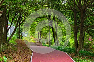 Garden path in the park