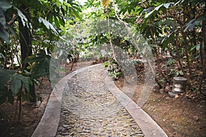 Garden path in park