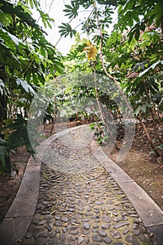 Garden path in park