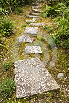 Garden path paved with big stones