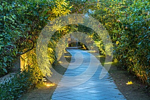 Garden path in resort with warm light and trees on side at evening, Garden Decoration