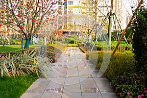 garden path after spring rain