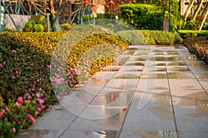 garden path after spring rain