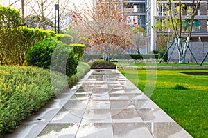 garden path after spring rain