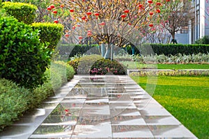 garden path after spring rain