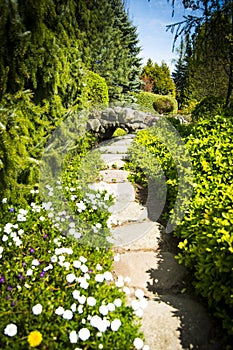 Garden path in summer