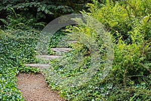 Garden Path to Nowhere