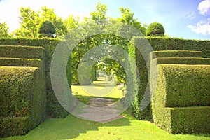 Garden path with topiary shrubs