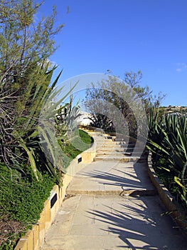 Garden Pathway