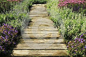 Garden pathway