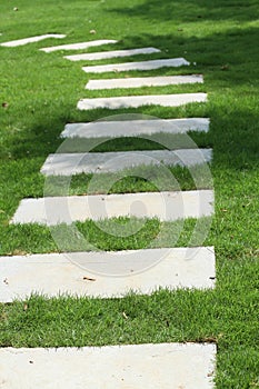 garden pathway with stones on the grass lawn in a park