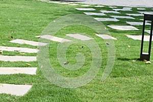 garden pathway with stones on the grass lawn in a park