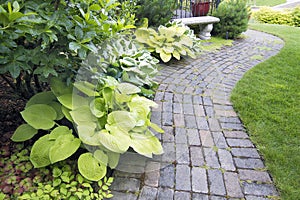 Garden Paver Path with Plants and Grass