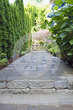 Garden Paver Path Walkway