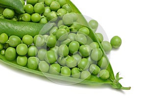 Garden Peas