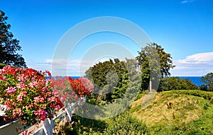 Garden with pelargonium and view of the Baltic Sea. In Lohme on the island of RÃ¼gen