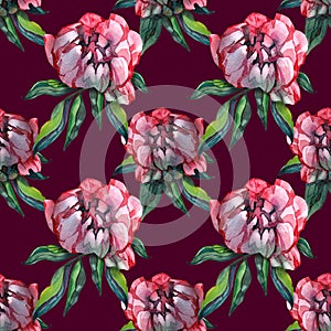 Garden peony. Seamless, hand-painted, watercolor pattern. Floral background