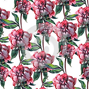 Garden peony. Seamless, hand-painted, watercolor pattern. Floral background