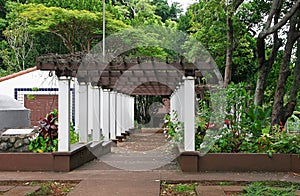 Garden pergola