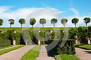 Garden of Peterhof