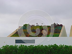 Garden planted on the sloping roof of a modern house